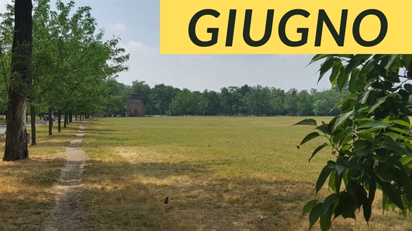CORSI PER ADULTI-LIVELLO OPEN - per tutti